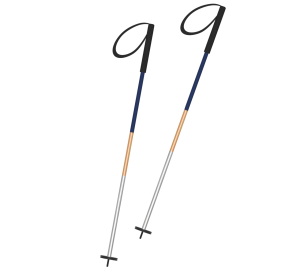 スキーのストックのイラスト