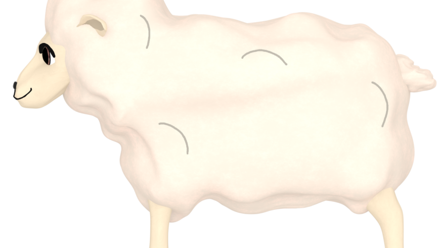 sheep img